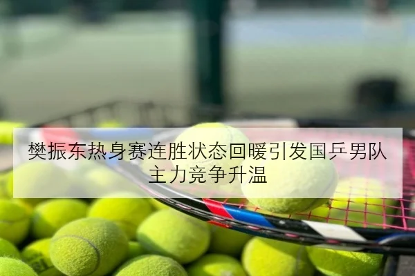 樊振东热身赛连胜状态回暖引发国乒男队主力竞争升温